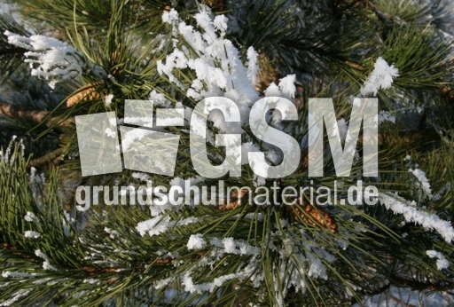 Winterimpressionen 014.jpg